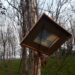 IMG-20241110-WA0043