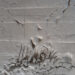 1300x1300 scavi